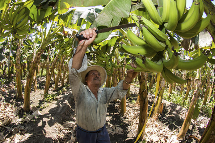 Capacitan a productores agrícolas en nuevas reglas de seguridad de