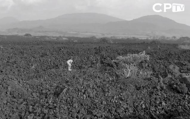 Como la siempreviva, homenaje a Roque Dalton - ContraPunto