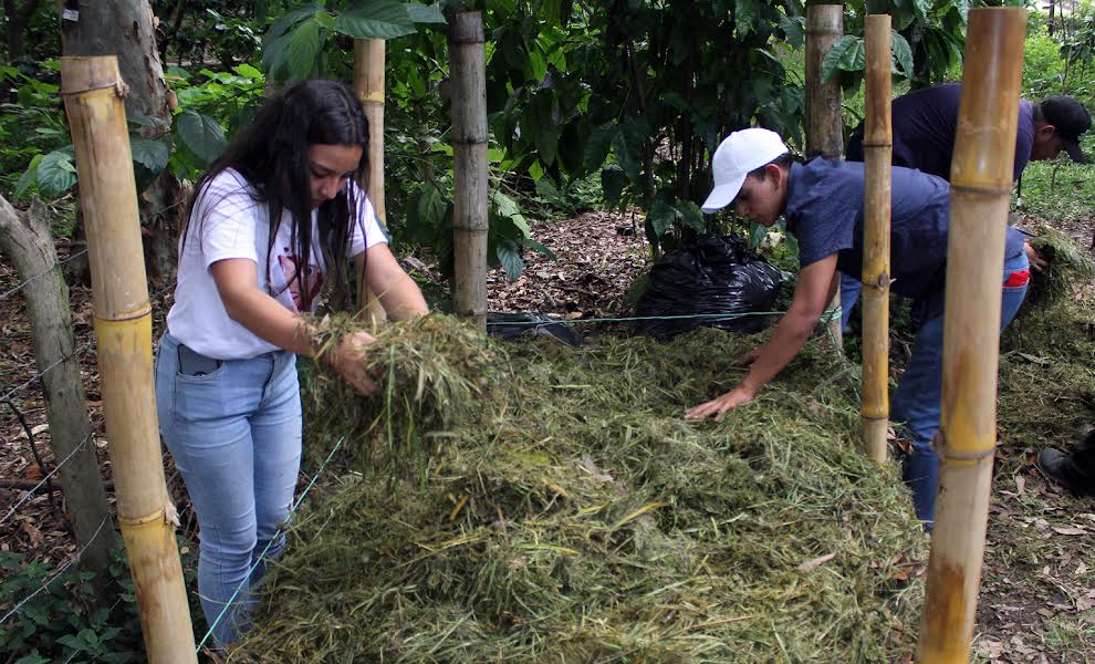Tierra Verde Naturaleza y Cultura - Cómo usar un baño seco compostero,  parte de los trabajos que estamos haciendo gracias al financiamiento de  Fondo de Conservación El Triunfo AC. , @FundacionGonzaloRioArronte, World