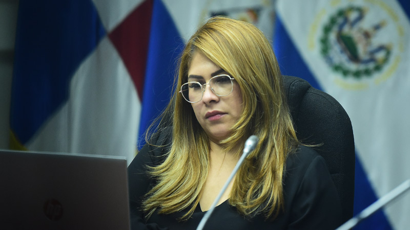 Rebeca Santos Es Inhabilitada De Elecciones 2024 Por “actos No éticos” Contrapunto